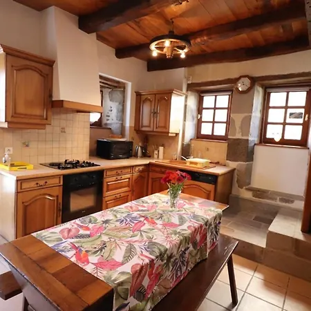Holiday home Maison De Caractere Renovee, 4 Pers, Au Coeur Du Carladez Avec Jardin Privatif Et Activites Touristiques A Proximite - Fr-1-742-225